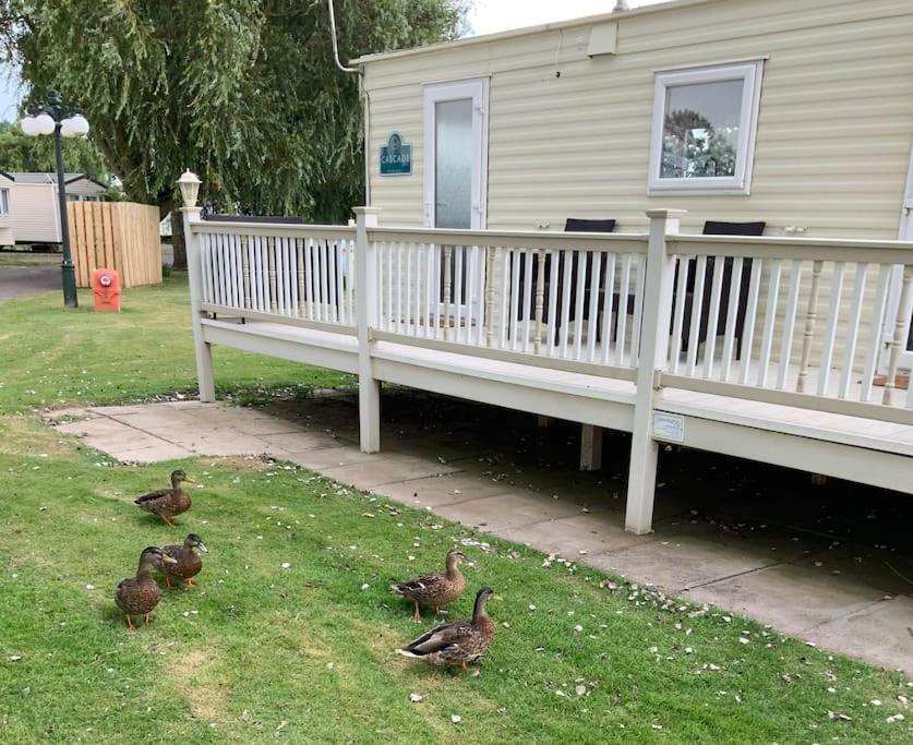 Winthorpe  Springs Southview Skegness 아파트 외부 사진